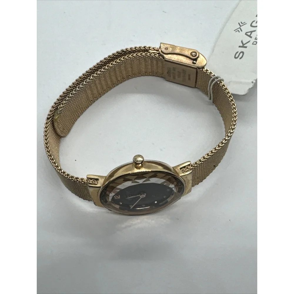 Skagen Leonora 456SRR1 Womens Rose Gold-Tone Steel Mesh Analog Dial Watch AEA155